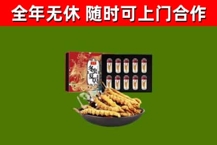 卫东回收冬虫夏草价格